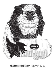 Glamorous fashion marmoset in stylish glasses with bag  