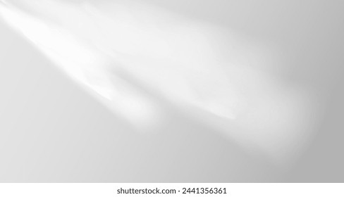 El resplandor de los rayos del sol en la pared. Sombras borrosas de hojas y plantas en la habitación. Superposición suave de la luz natural. Fondo abstracto para la presentación del producto.Diseño de luz natural.