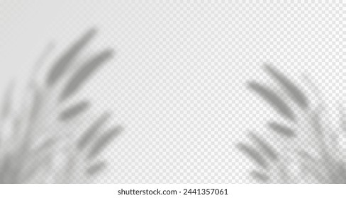 Glare from the sun's rays on the wall. Blurred shadows from leaves and plants in the room. Soft overlay of natural light. Abstract background for product presentation.Natural light layout.