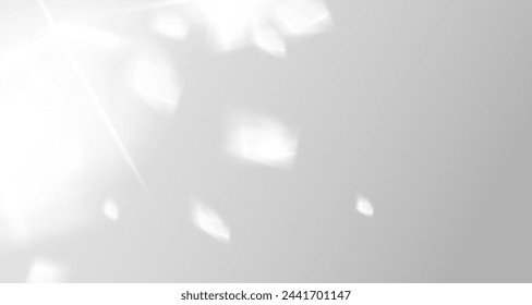 El resplandor de los rayos del sol en la pared. Sombras borrosas de hojas y plantas en la habitación. Superposición suave de la luz natural. Fondo abstracto para la presentación del producto.Diseño de luz natural.