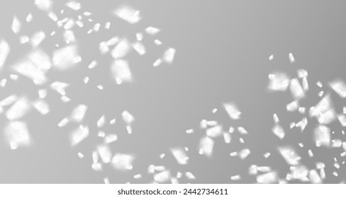 Glare from the sun's rays on the wall. Blurred shadows from leaves and plants in the room. Soft overlay of natural light. Abstract background for product presentation.Natural light layout.