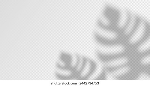 El resplandor de los rayos del sol en la pared. Sombras borrosas de hojas y plantas en la habitación. Superposición suave de la luz natural. Fondo abstracto para la presentación del producto.Diseño de luz natural.