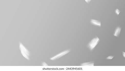 El resplandor de los rayos del sol en la pared. Sombras borrosas de hojas y plantas en la habitación. Superposición suave de la luz natural. Fondo Abstractas para la presentación del producto.Diseño de luz natural.