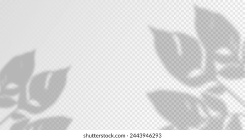 El resplandor de los rayos del sol en la pared. Sombras borrosas de hojas y plantas en la habitación. Superposición suave de la luz natural. Fondo Abstractas para la presentación del producto.Diseño de luz natural.