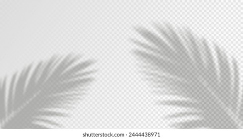 Glare from the sun's rays on the wall. Blurred shadows from leaves and plants in the room. Soft overlay of natural light. Abstract background for product presentation.Natural light layout.