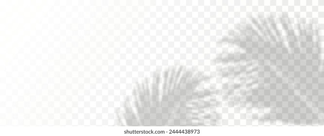 El resplandor de los rayos del sol en la pared. Sombras borrosas de hojas y plantas en la habitación. Superposición suave de la luz natural. Fondo Abstractas para la presentación del producto.Diseño de luz natural.