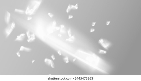Glare from the sun's rays on the wall. Blurred shadows from leaves and plants in the room. Soft overlay of natural light. Abstract background for product presentation.Natural light layout.