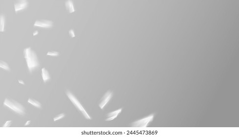 Glare from the sun's rays on the wall. Blurred shadows from leaves and plants in the room. Soft overlay of natural light. Abstract background for product presentation.Natural light layout.