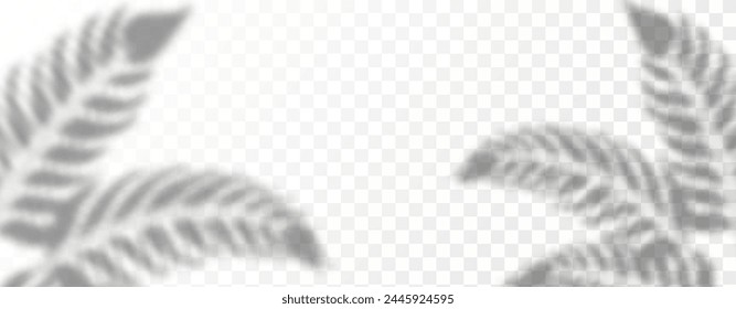Glare from the sun's rays on the wall. Blurred shadows from leaves and plants in the room. Soft overlay of natural light. Abstract background for product presentation.Natural light layout.