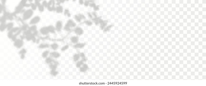 El resplandor de los rayos del sol en la pared. Sombras borrosas de hojas y plantas en la habitación. Superposición suave de la luz natural. Fondo Abstractas para la presentación del producto.Diseño de luz natural.