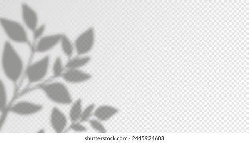 Glare from the sun's rays on the wall. Blurred shadows from leaves and plants in the room. Soft overlay of natural light. Abstract background for product presentation.Natural light layout.