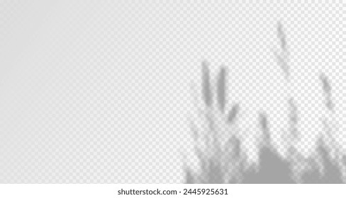 El resplandor de los rayos del sol en la pared. Sombras borrosas de hojas y plantas en la habitación. Superposición suave de la luz natural. Fondo Abstractas para la presentación del producto.Diseño de luz natural.