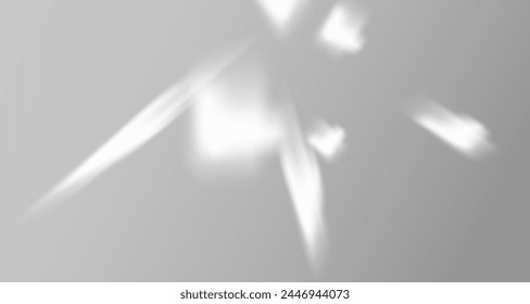 Glare from the sun's rays on the wall. Blurred shadows from leaves and plants in the room. Soft overlay of natural light. Abstract background for product presentation.Natural light layout.