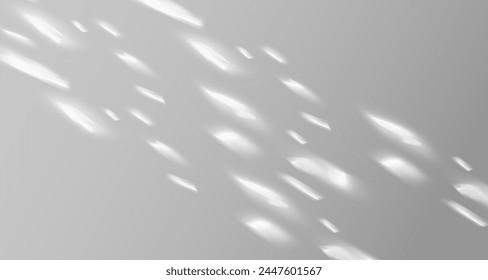 Glare from the sun's rays on the wall. Blurred shadows from leaves and plants in the room. Soft overlay of natural light. Abstract background for product presentation.Natural light layout.