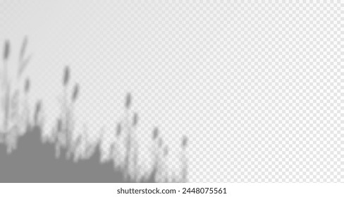 El resplandor de los rayos del sol en la pared. Sombras borrosas de hojas y plantas en la habitación. Superposición suave de la luz natural. Fondo Abstractas para la presentación del producto.Diseño de luz natural.