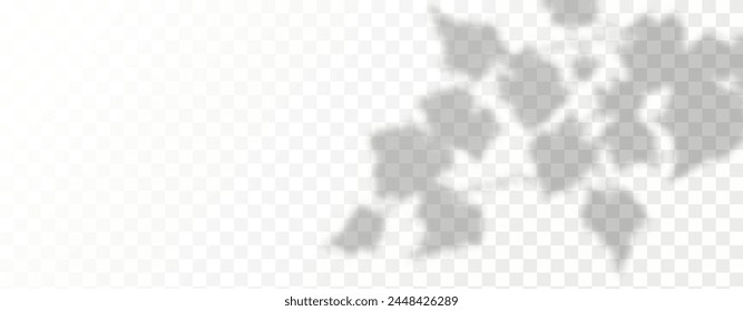 Glare from the sun's rays on the wall. Blurred shadows from leaves and plants in the room. Soft overlay of natural light. Abstract background for product presentation.Natural light layout.