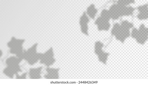 Schein von den Sonnenstrahlen an der Wand. Verschwommene Schatten von Blättern und Pflanzen im Raum. Weiche Überlagerung von natürlichem Licht. Abstrakter Hintergrund für die Produktpräsentation.Natural Light Layout.