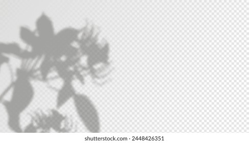 El resplandor de los rayos del sol en la pared. Sombras borrosas de hojas y plantas en la habitación. Superposición suave de la luz natural. Fondo Abstractas para la presentación del producto.Diseño de luz natural.