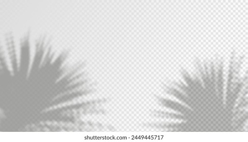 El resplandor de los rayos del sol en la pared. Sombras borrosas de hojas y plantas en la habitación. Superposición suave de la luz natural. Fondo Abstractas para la presentación del producto.Diseño de luz natural.