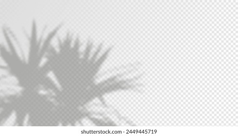 El resplandor de los rayos del sol en la pared. Sombras borrosas de hojas y plantas en la habitación. Superposición suave de la luz natural. Fondo Abstractas para la presentación del producto.Diseño de luz natural.
