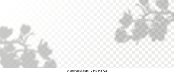 Schein von den Sonnenstrahlen an der Wand. Verschwommene Schatten von Blättern und Pflanzen im Raum. Weiche Überlagerung von natürlichem Licht. Abstrakter Hintergrund für die Produktpräsentation.Natural Light Layout.