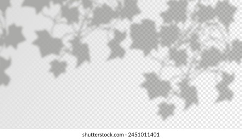 Schein von den Sonnenstrahlen an der Wand. Verschwommene Schatten von Blättern und Pflanzen im Raum. Weiche Überlagerung von natürlichem Licht. Abstrakter Hintergrund für die Produktpräsentation.Natural Light Layout.