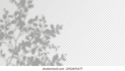 Glare from the sun's rays on the wall. Blurred shadows from leaves and plants in the room. Soft overlay of natural light. Abstract background for product presentation.Natural light layout.