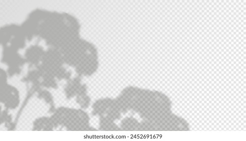 El resplandor de los rayos del sol en la pared. Sombras borrosas de hojas y plantas en la habitación. Superposición suave de la luz natural. Fondo Abstractas para la presentación del producto.Diseño de luz natural.
