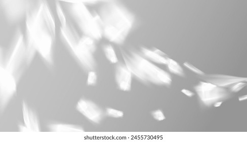 Glare from the sun's rays on the wall. Blurred shadows from leaves and plants in the room. Soft overlay of natural light. Abstract background for product presentation.Natural light layout.