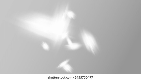 El resplandor de los rayos del sol en la pared. Sombras borrosas de hojas y plantas en la habitación. Superposición suave de la luz natural. Fondo Abstractas para la presentación del producto.Diseño de luz natural.