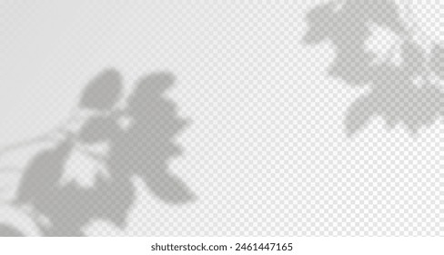 Glare from the sun's rays on the wall. Blurred shadows from leaves and plants in the room. Soft overlay of natural light. Abstract background for product presentation.Natural light layout.