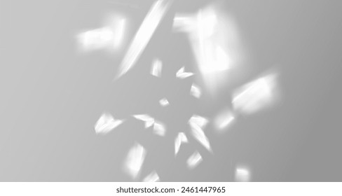 Glare from the sun's rays on the wall. Blurred shadows from leaves and plants in the room. Soft overlay of natural light. Abstract background for product presentation.Natural light layout.