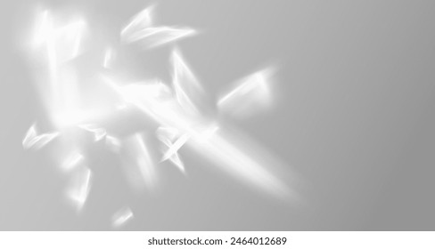 Glare from the sun's rays on the wall. Blurred shadows from leaves and plants in the room. Soft overlay of natural light. Abstract background for product presentation.Natural light layout.