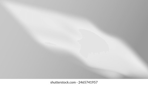 Glare from the sun's rays on the wall. Blurred shadows from leaves and plants in the room. Soft overlay of natural light. Abstract background for product presentation.Natural light layout.