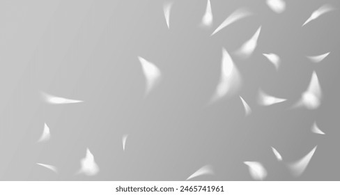 Glare from the sun's rays on the wall. Blurred shadows from leaves and plants in the room. Soft overlay of natural light. Abstract background for product presentation.Natural light layout.