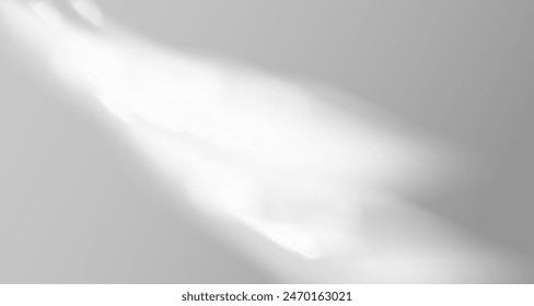 El resplandor de los rayos del sol en la pared. Sombras borrosas de hojas y plantas en la habitación. Superposición suave de la luz natural. Fondo Abstractas para la presentación del producto.Diseño de luz natural.