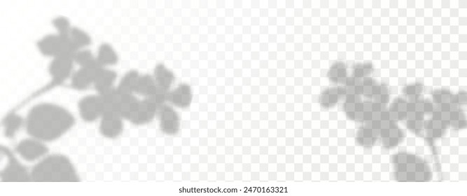 El resplandor de los rayos del sol en la pared. Sombras borrosas de hojas y plantas en la habitación. Superposición suave de la luz natural. Fondo Abstractas para la presentación del producto.Diseño de luz natural.