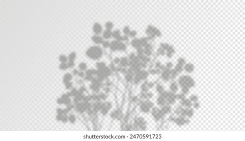 El resplandor de los rayos del sol en la pared. Sombras borrosas de hojas y plantas en la habitación. Superposición suave de la luz natural. Fondo Abstractas para la presentación del producto.Diseño de luz natural.