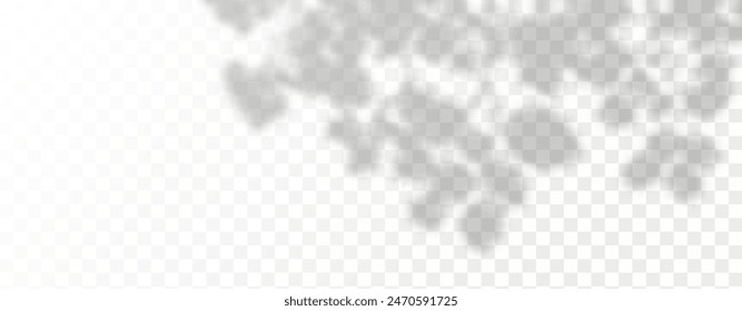 El resplandor de los rayos del sol en la pared. Sombras borrosas de hojas y plantas en la habitación. Superposición suave de la luz natural. Fondo Abstractas para la presentación del producto.Diseño de luz natural.