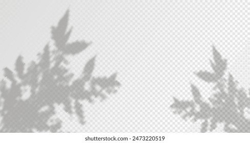 El resplandor de los rayos del sol en la pared. Sombras borrosas de hojas y plantas en la habitación. Superposición suave de la luz natural. Fondo Abstractas para la presentación del producto.Diseño de luz natural.
