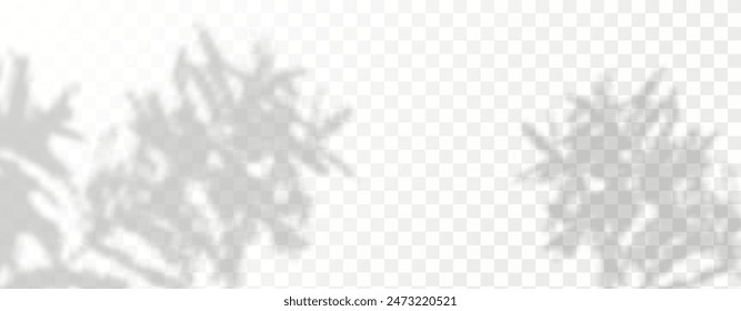 El resplandor de los rayos del sol en la pared. Sombras borrosas de hojas y plantas en la habitación. Superposición suave de la luz natural. Fondo Abstractas para la presentación del producto.Diseño de luz natural.