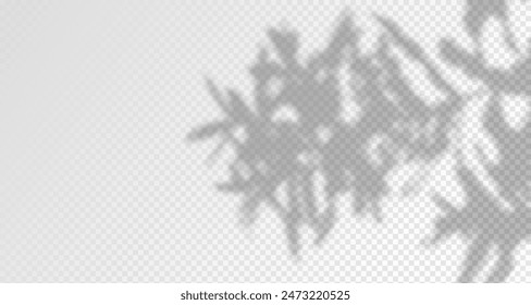 El resplandor de los rayos del sol en la pared. Sombras borrosas de hojas y plantas en la habitación. Superposición suave de la luz natural. Fondo Abstractas para la presentación del producto.Diseño de luz natural.