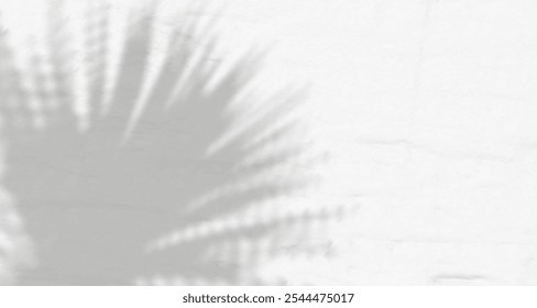 Resplandor de los rayos del sol en la pared. Sombras borrosas de hojas y plantas en la habitación. Superposición suave de luz natural. Fondo Abstractas para la presentación del producto. Diseño de luz natural.