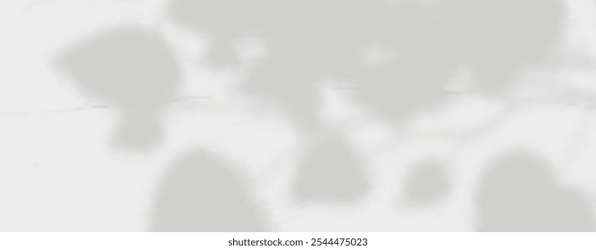 Resplandor de los rayos del sol en la pared. Sombras borrosas de hojas y plantas en la habitación. Superposición suave de luz natural. Fondo Abstractas para la presentación del producto. Diseño de luz natural.