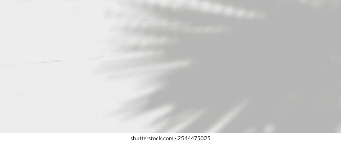 Resplandor de los rayos del sol en la pared. Sombras borrosas de hojas y plantas en la habitación. Superposición suave de luz natural. Fondo Abstractas para la presentación del producto. Diseño de luz natural.