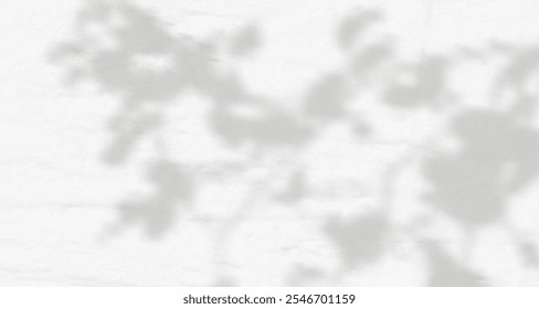 Reflexo dos raios de sol na parede. Sombras desfocadas de folhas e plantas na sala. Sobreposição suave de luz natural. Fundo abstrato para apresentação do produto.Layout de luz natural.