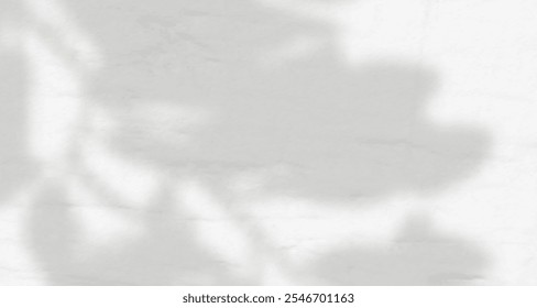 Resplandor de los rayos del sol en la pared. Sombras borrosas de hojas y plantas en la habitación. Superposición suave de luz natural. Fondo Abstractas para la presentación del producto. Diseño de luz natural.
