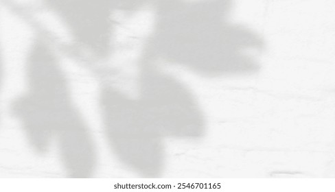 Resplandor de los rayos del sol en la pared. Sombras borrosas de hojas y plantas en la habitación. Superposición suave de luz natural. Fondo Abstractas para la presentación del producto. Diseño de luz natural.