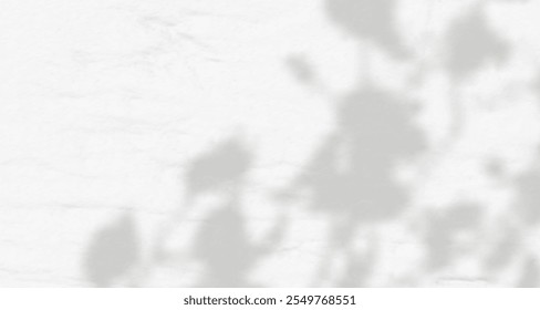 Resplandor de los rayos del sol en la pared. Sombras borrosas de hojas y plantas en la habitación. Superposición suave de luz natural. Fondo Abstractas para la presentación del producto. Diseño de luz natural.