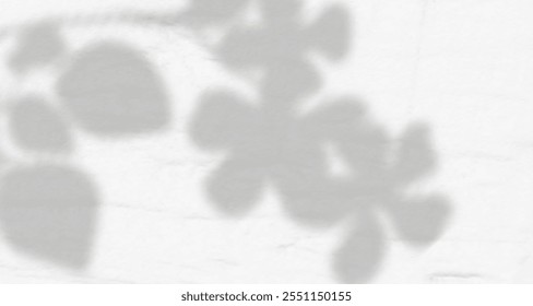Resplandor de los rayos del sol en la pared. Sombras borrosas de hojas y plantas en la habitación. Superposición suave de luz natural. Fondo Abstractas para la presentación del producto. Diseño de luz natural.